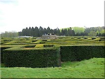 TQ8352 : Maze at Leeds Castle by Paul Gillett