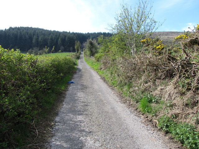The top of Carrivekeeney Road ascending towards Camlough Wood