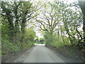 Hemp Lane, Wigginton