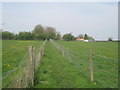 Path to Hodsock Lane