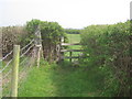 Stile on the path to Hodsock