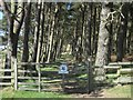 NU0535 : Gate into St Cuthbert's Cave Wood by Graham Robson