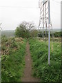 Bridleway known as Steep Lane - Park Lea