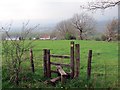 Llwybr Bodist Isaf / Bodist Isaf Path