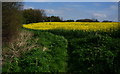 Leeds Country Way towards  Wakefield Road