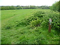 The London LOOP on Tubbenden Meadow