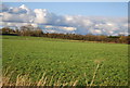 Farmland near Swilland Manor