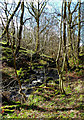 Balsaggart Burn