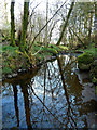 A Pool on Balsaggart Burn