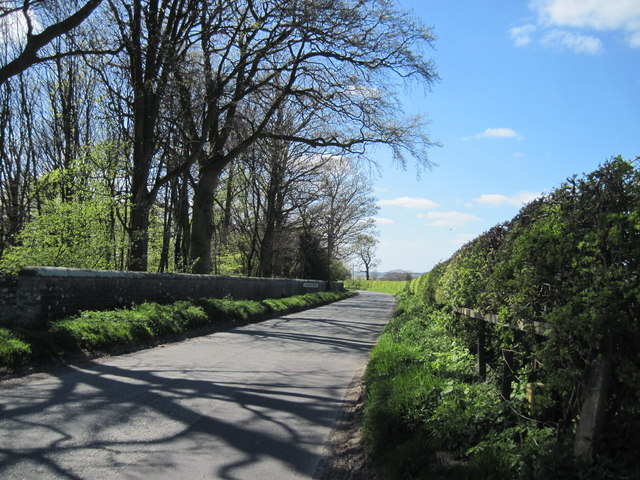 Approaching  Langton  on  Cordike  Lane