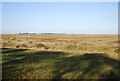 TF9443 : Warham Marshes by N Chadwick