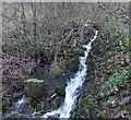 White water stream, Perthcelyn