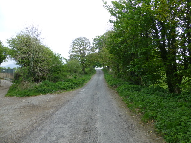 Road at Baylet, Inch Island