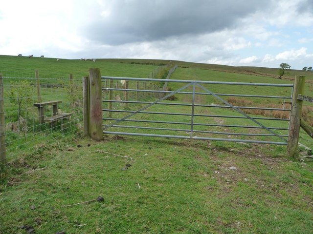 Redundant stile in a new hedge, above Park Wood