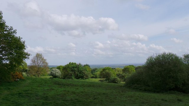 View from Little Warley Common