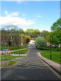 TQ3409 : Norwich House Road, University of Sussex by Simon Carey