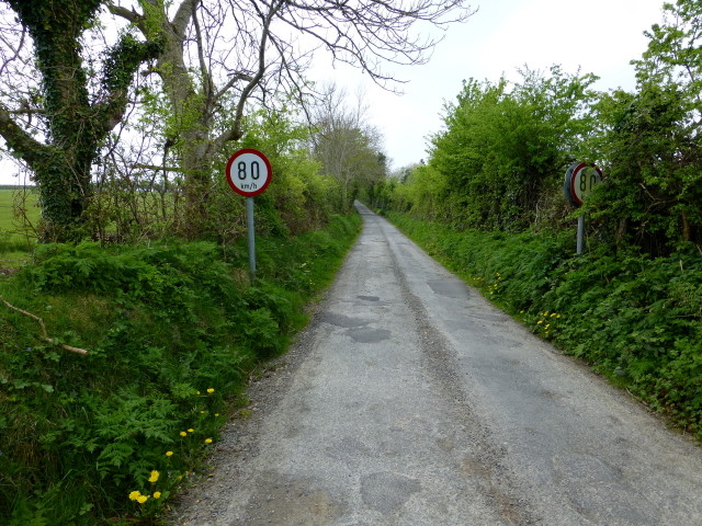 Speed limit signs for the narrow link road, Inch Island
