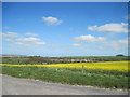 Over  fields  to  Wharram  Percy  Quarry