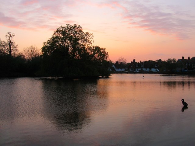 Falmer Pond