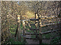 SS8677 : Kissing gate on the Newton to Candleston Circular Walk by eswales