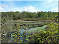 Kirkbride Pond