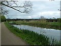 Bridge 9B, Grand Junction Canal - Northampton Arm