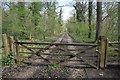 Gate on a forest track near Parkend