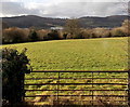 View from a field gate opposite Upper Mount Pleasant Farm, Rogerstone, Newport