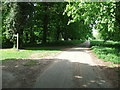 Footpaths And Farm Road