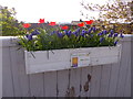 NO8686 : Flower box on Stonehaven station platform by Stanley Howe
