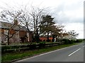 Farm at Bickleywood with trees in blossom