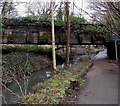 Low bridge over a canal path, Cwmbach