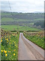 The access track to Llwynyneuadd Farm