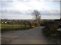 Bridle Road above Burton Joyce