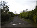 Lambley Bridle Road above Burton Joyce