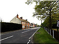 TM4394 : A143 Yarmouth Road, Toft Monks by Geographer