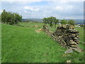 Footpath between Lower Clough Bank and Syke Side