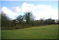 Wooded moat, Old Berghersh House