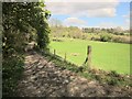 Bridleway to Ingerthorpe Hall