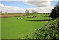 Pasture and pond, Ingerthorpe Grange