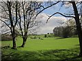 Pasture, Ingerthorpe Grange