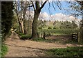 Bridleway to Ingerthorpe Hall