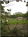 Kinch Allotments, Preston