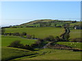 SJ0973 : Llwybr Clawdd Offa / Offa's Dyke Path by Ian Medcalf