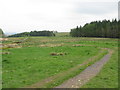 Tannahill Walkway in the Gleniffer Braes Country Park