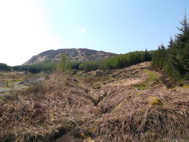 Start of Low Craignell hill path © Iain Russell :: Geograph Britain and ...