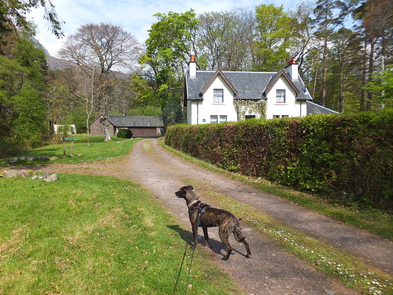 Corrie Lodge, Torridon House Estate © Alpin Stewart cc-by-sa/2.0 ...