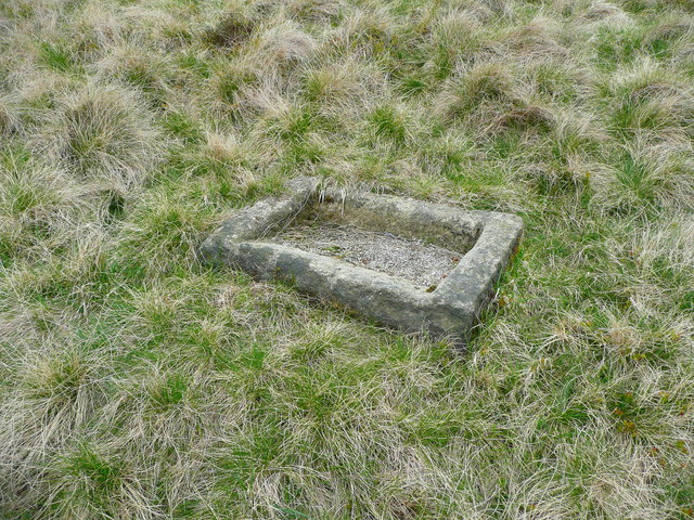 Stone grouse grit tray