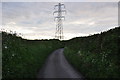 SS4931 : North Devon : Country Lane by Lewis Clarke