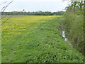 River Whipling near Granby